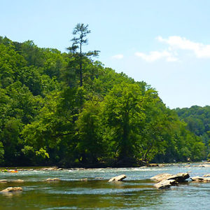 Neighbor Trespasses and Cuts Trees, Leads to Verdict of Treble and Punitive Damages