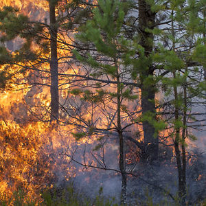 How to Pick the Right Georgia Attorneys When You Face Charges for Arson